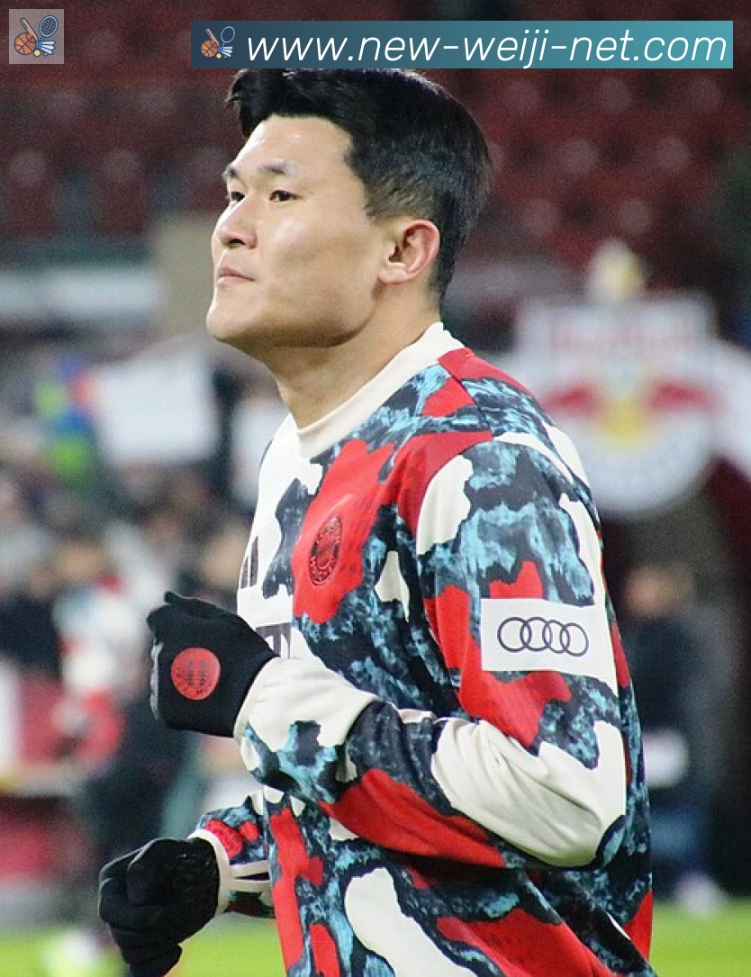 维尼修斯